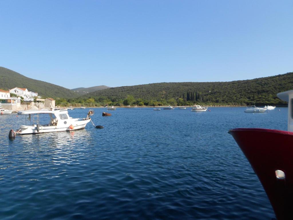 Apartments Vila Lazarevic Tivat Exterior photo